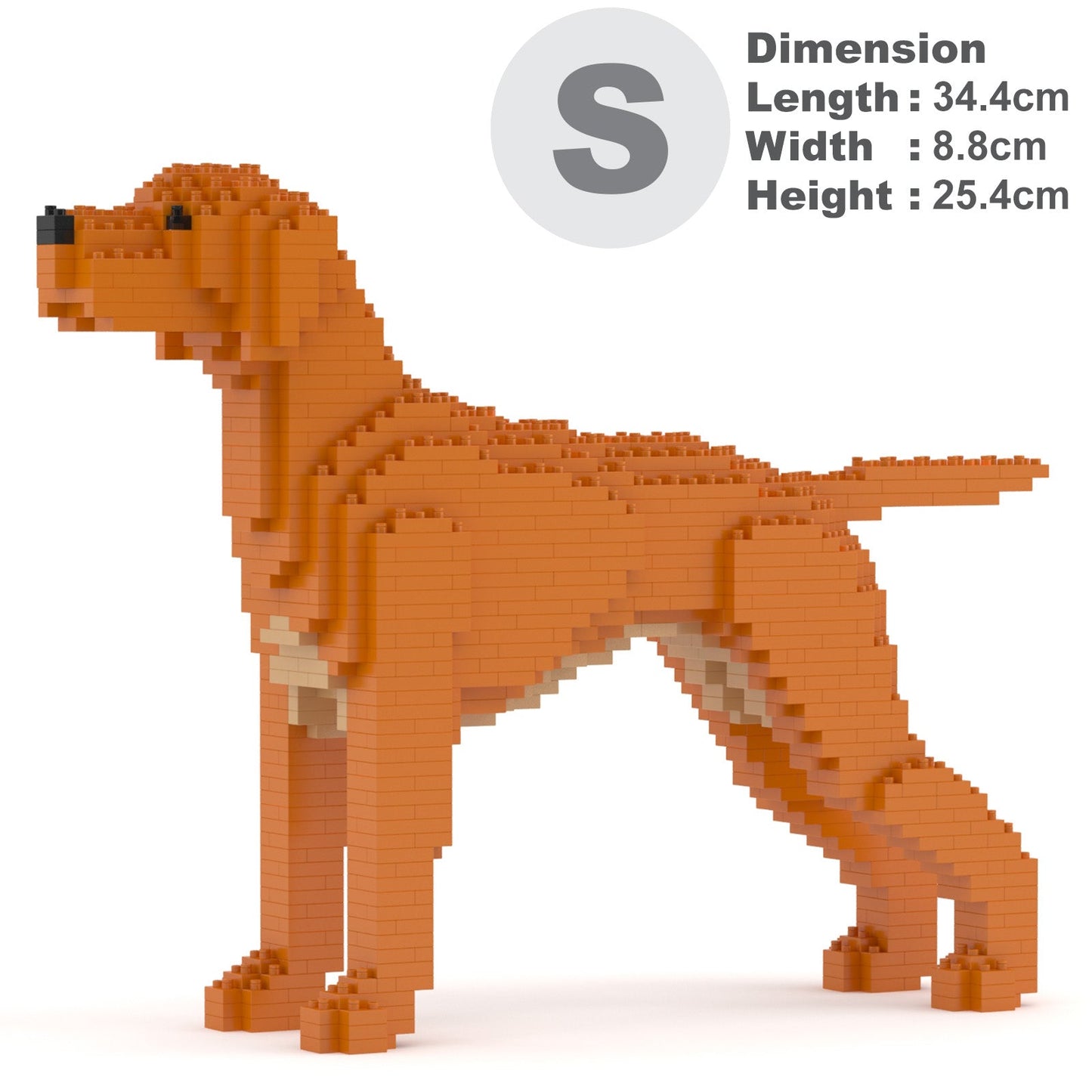 Hungarian Vizsla 01