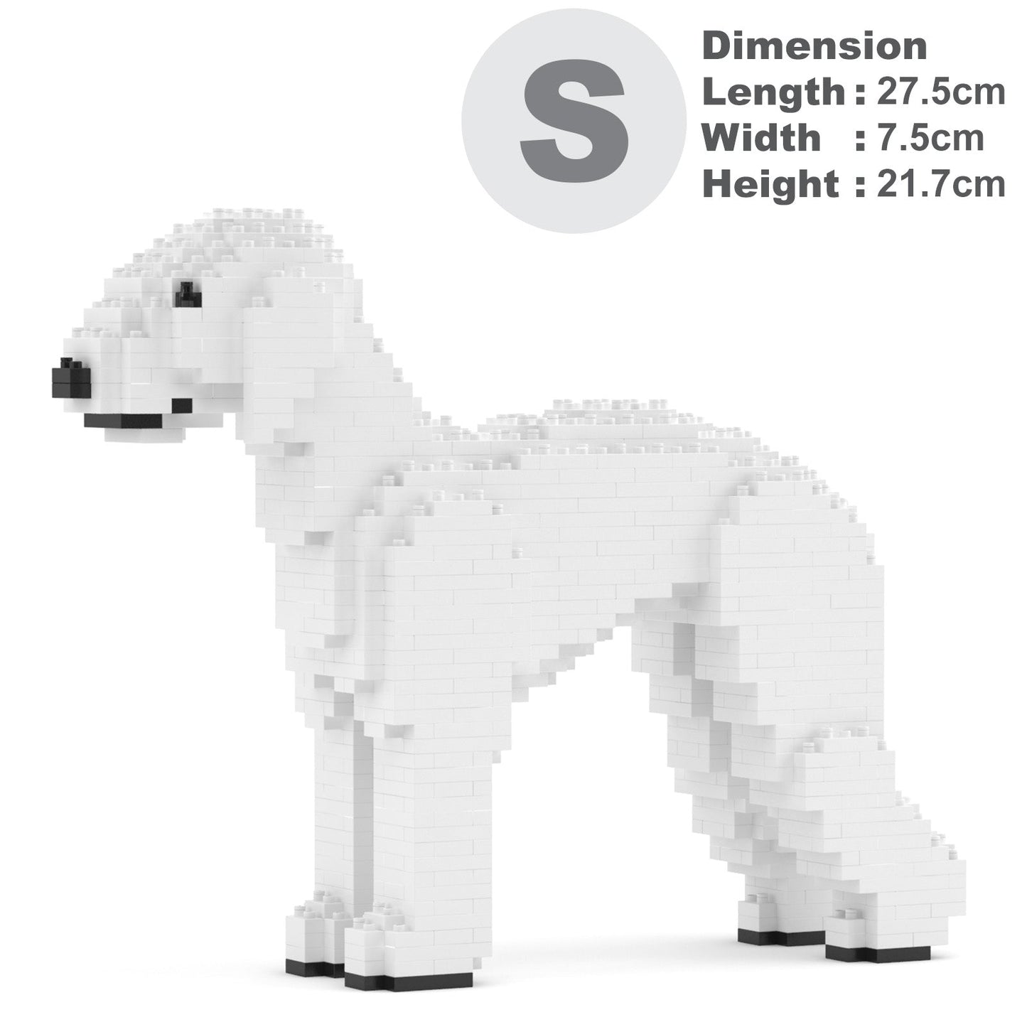 Bedlington Terrier 01