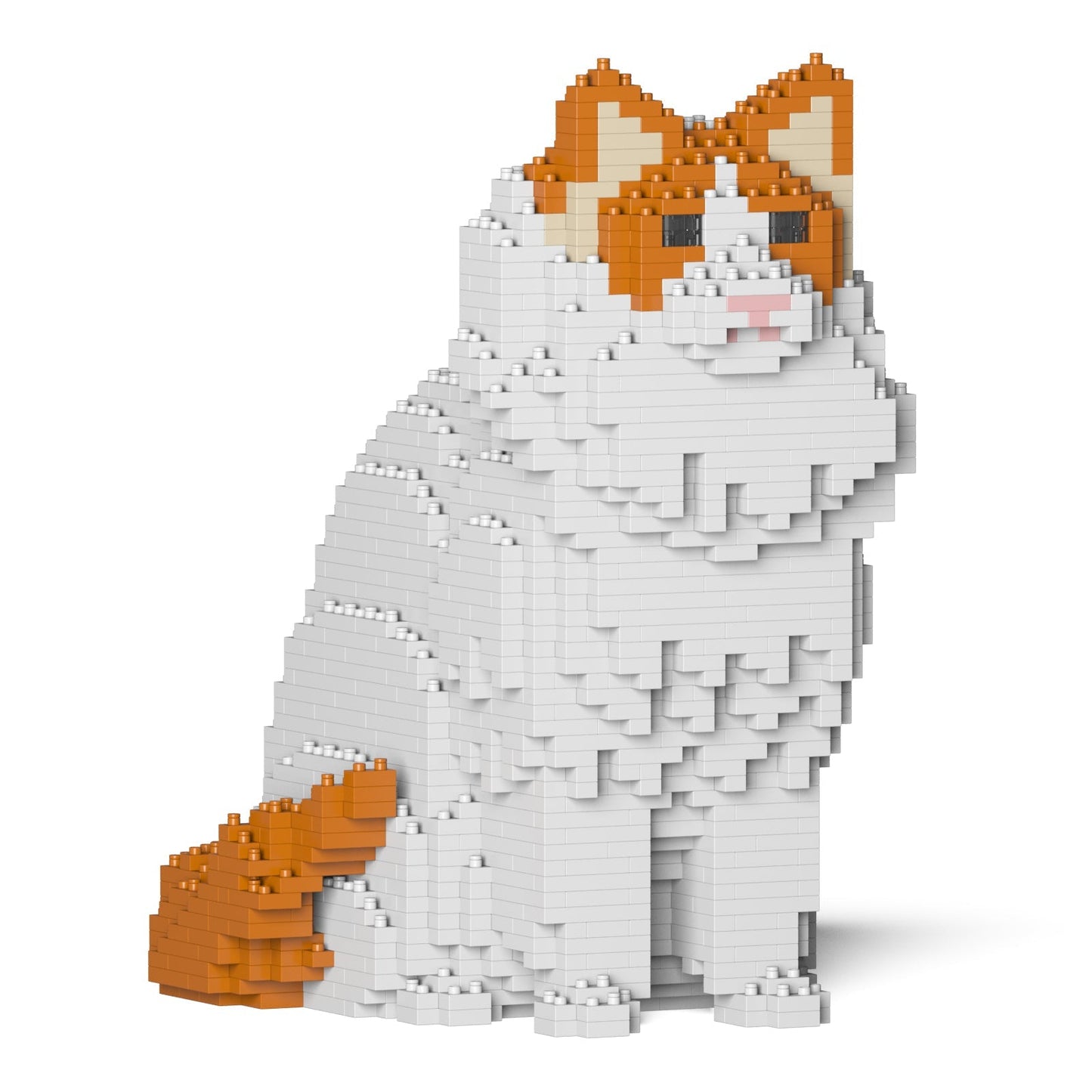 Ragdoll Cat 01S-M04