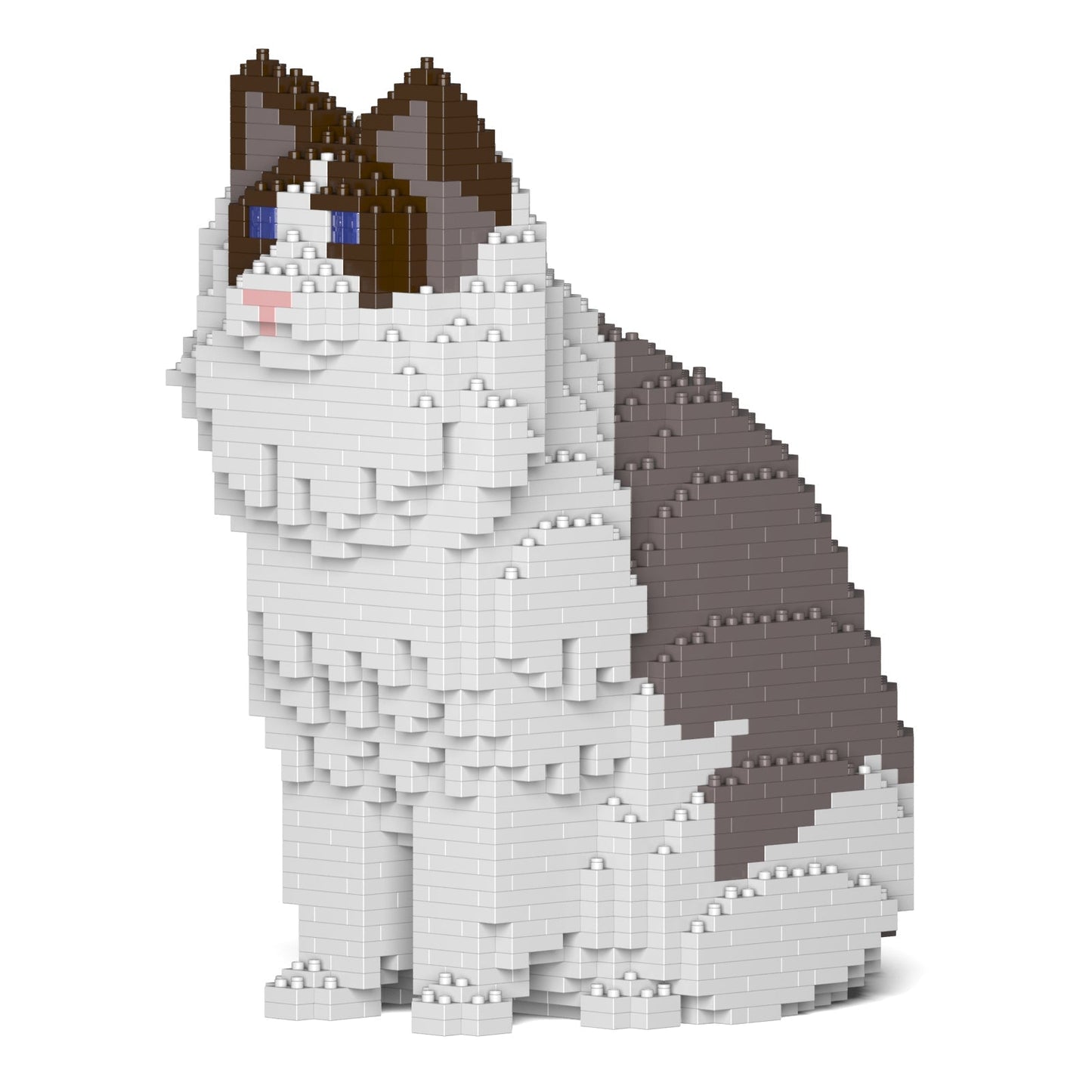 Ragdoll Cat 01S-M01