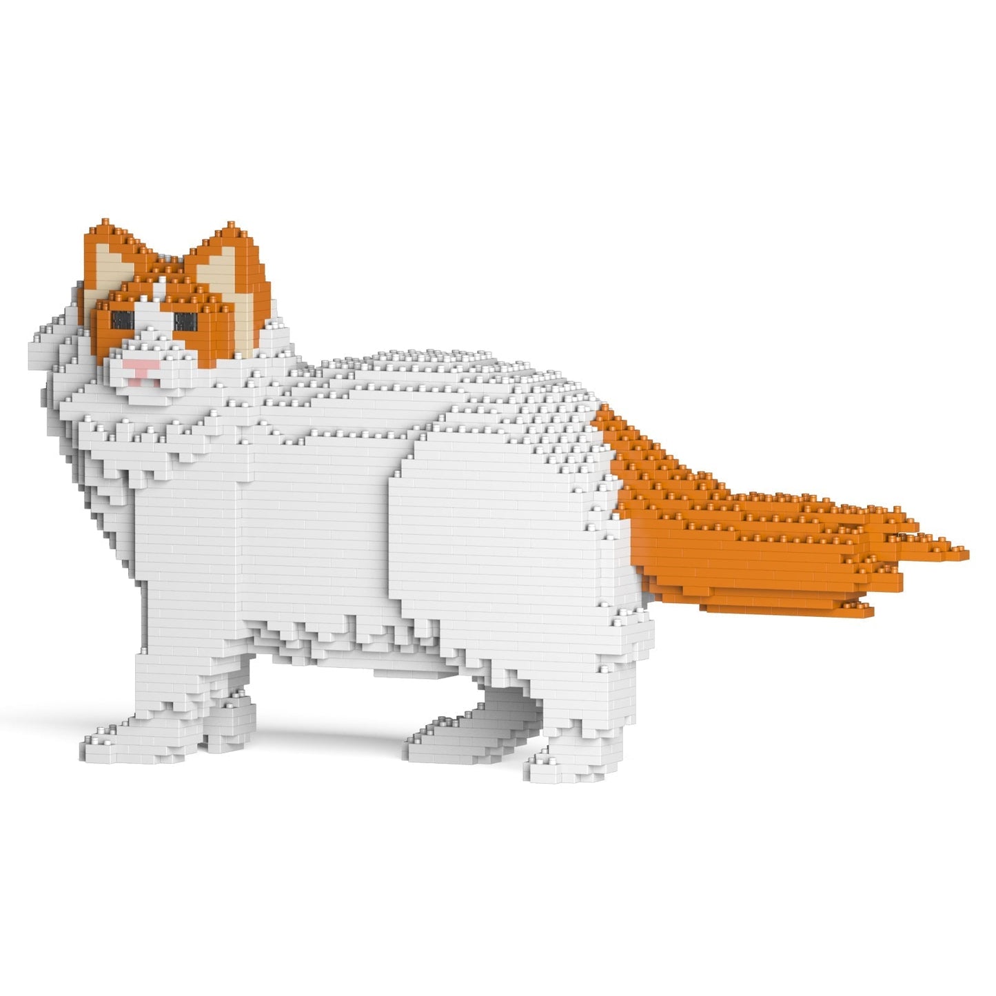 Ragdoll Cat 02S-M04