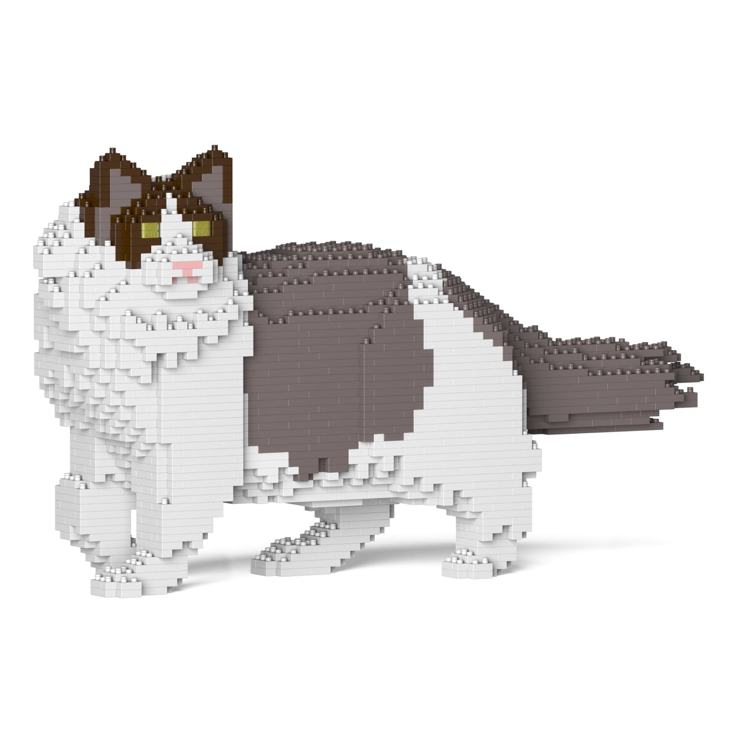 Ragdoll Cat 02S-M01