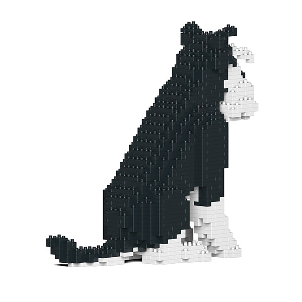 Standard Schnauzer 04-M02