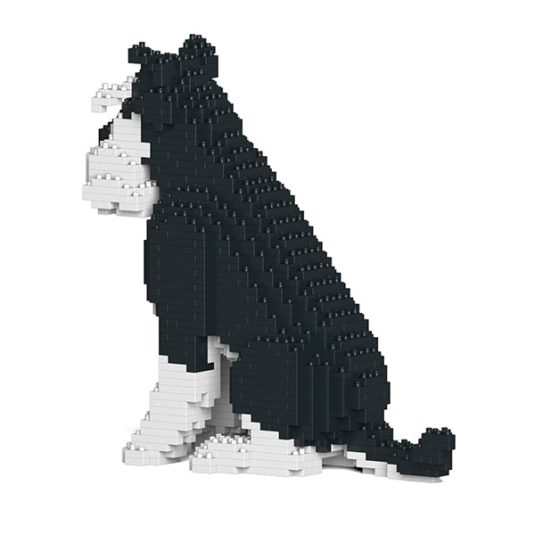 Standard Schnauzer 04-M02