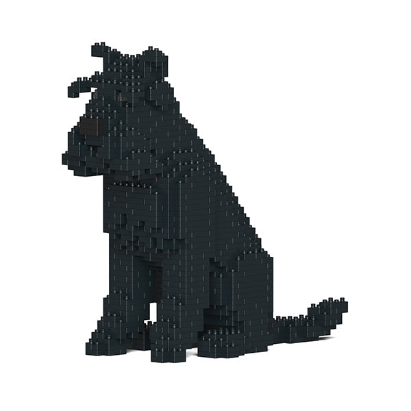 Standard Schnauzer 04-M03