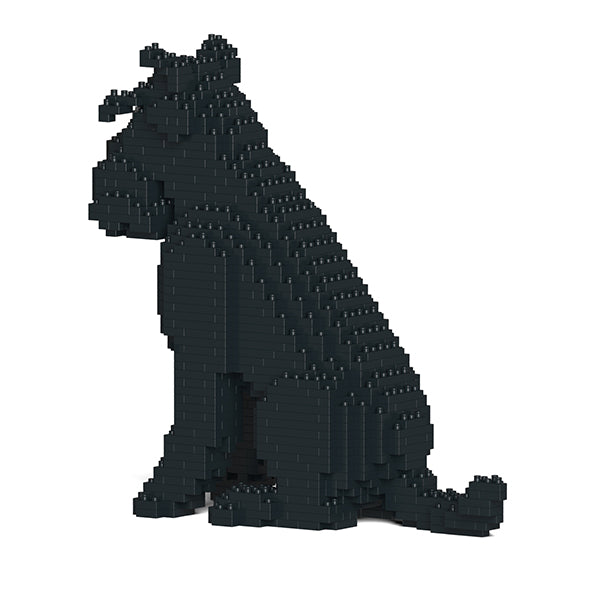 Standard Schnauzer 04-M03