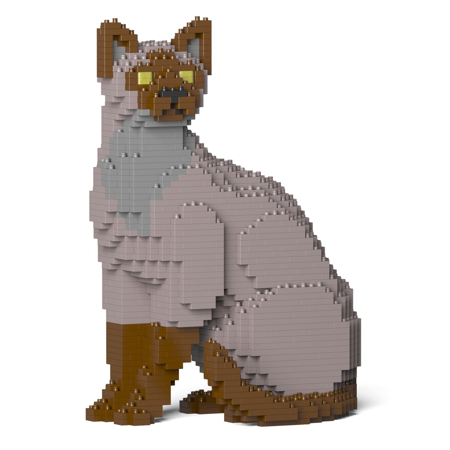 Tonkinese Cat 01S-M01