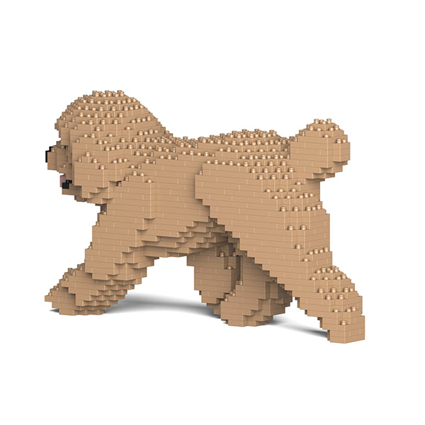 Toy Poodle 02-M03