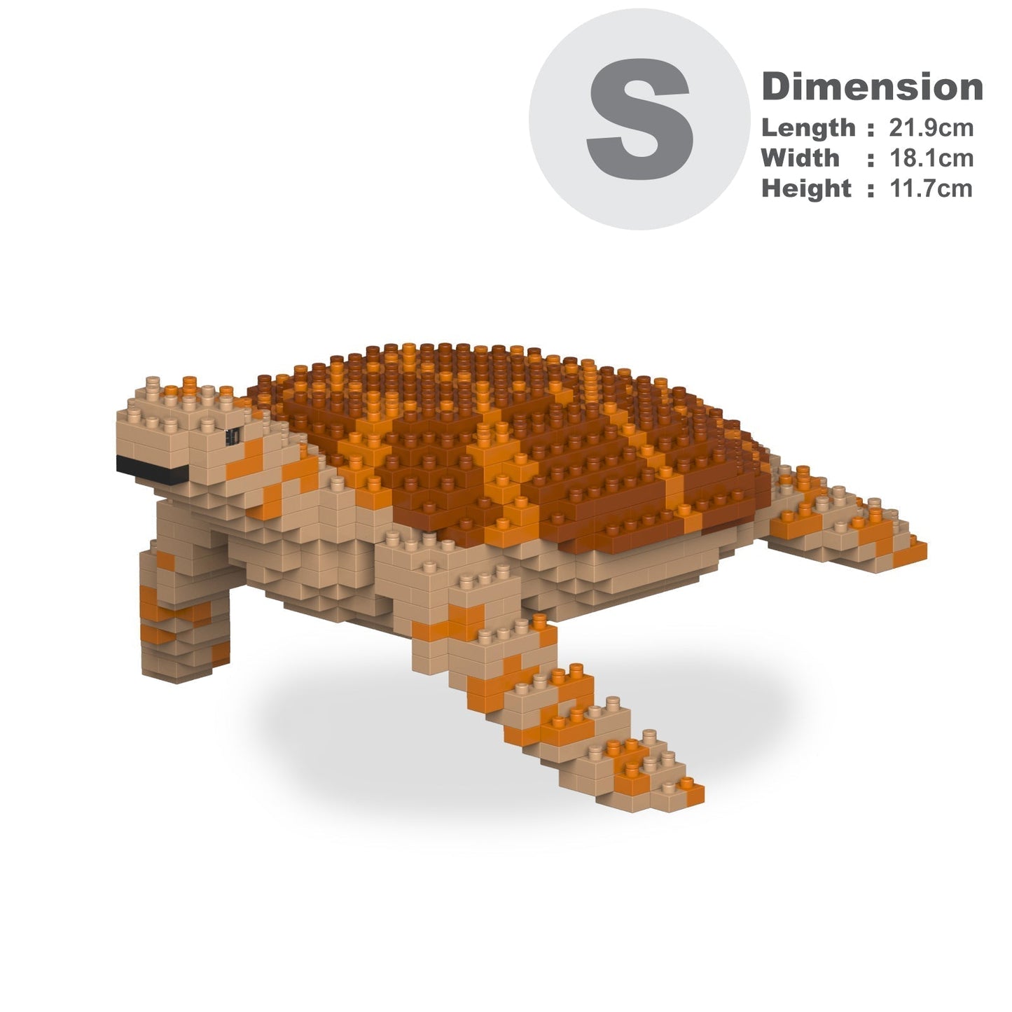 Sea Turtle 01-M01