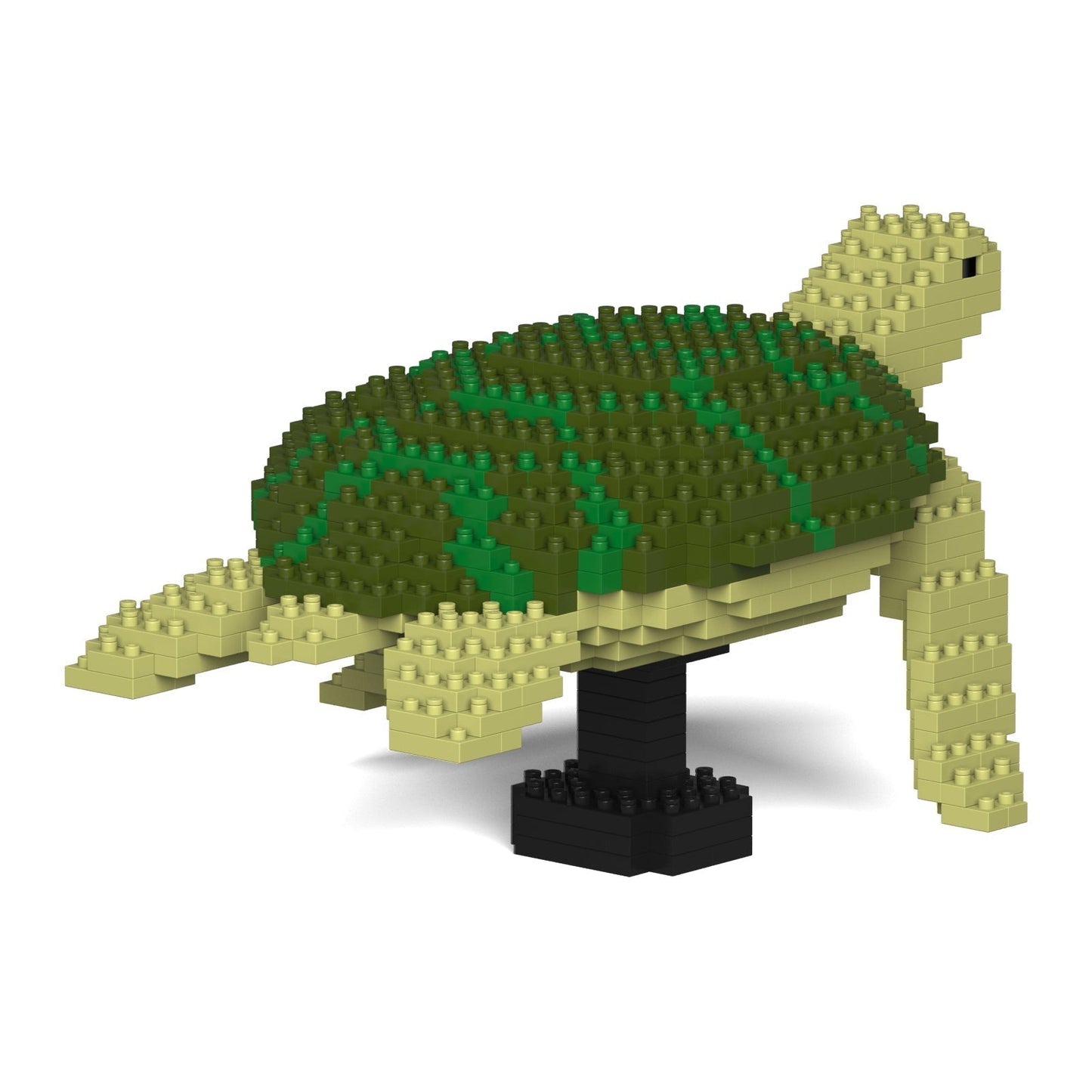 Sea Turtle 01-M02