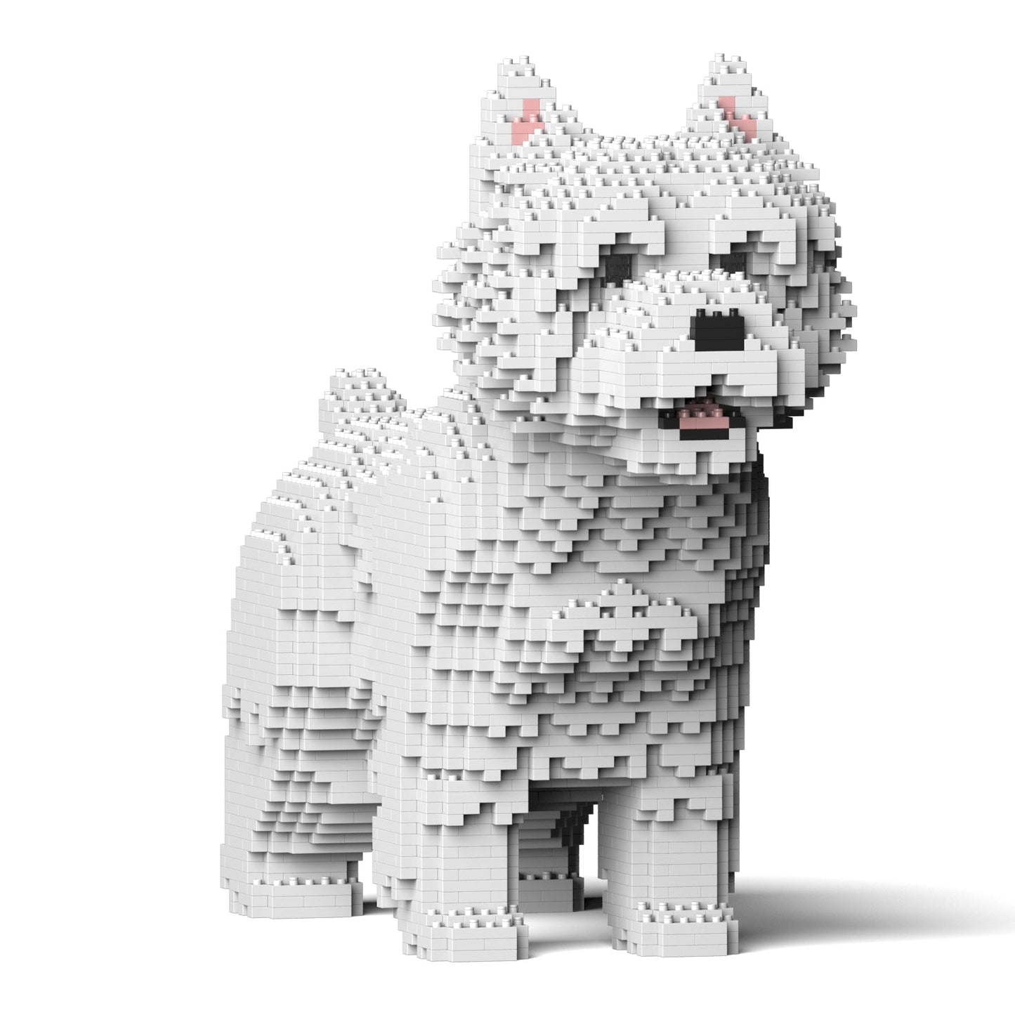 West Highland White Terrier 02