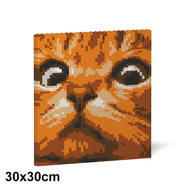 Cat Eyes Brick Painting 02S-M01