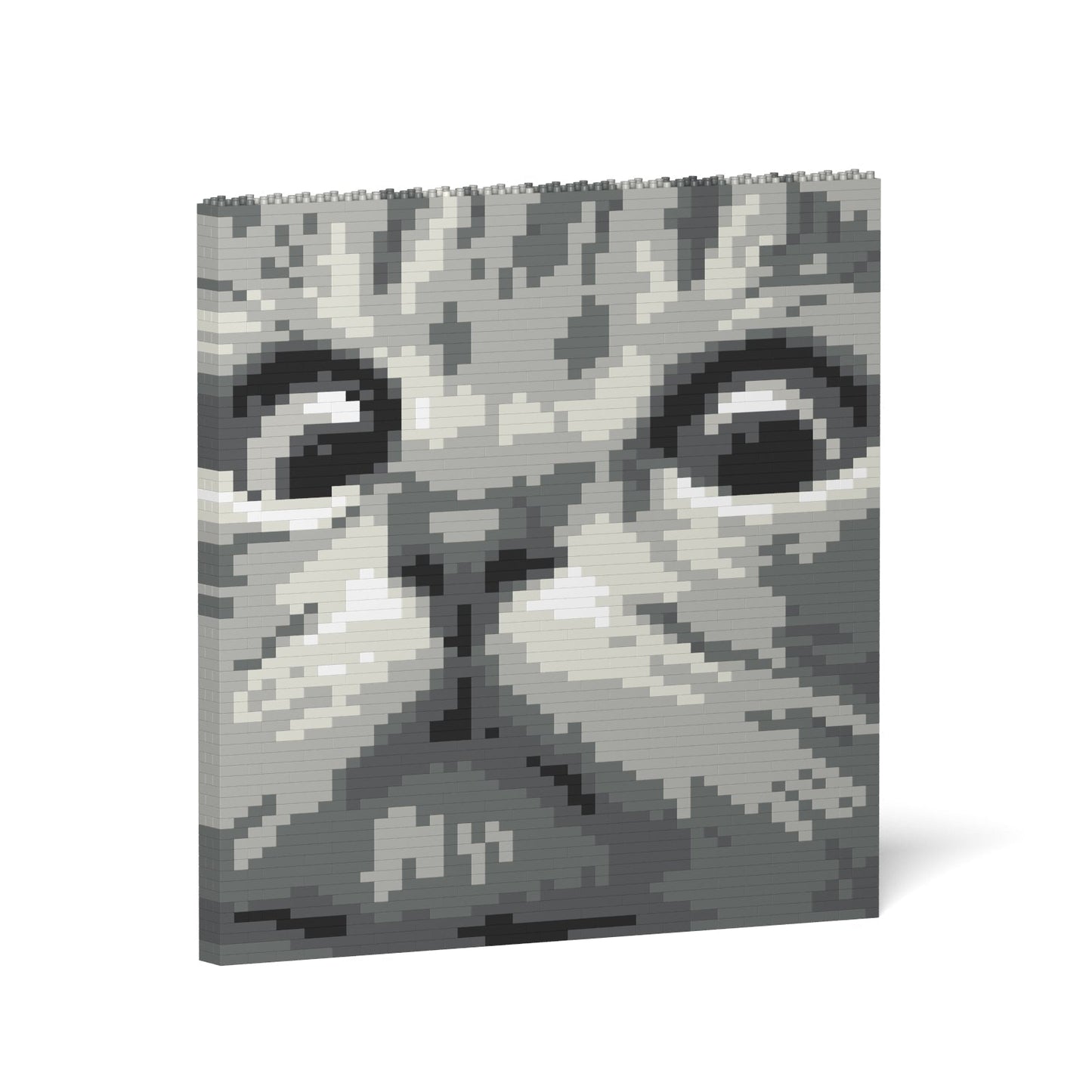 Cat Eyes Brick Painting 02S-M02