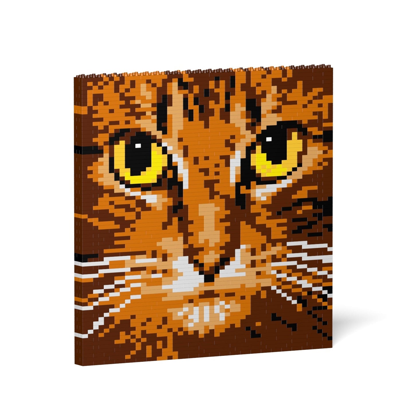 Cat Eyes Brick Painting 04S-M01