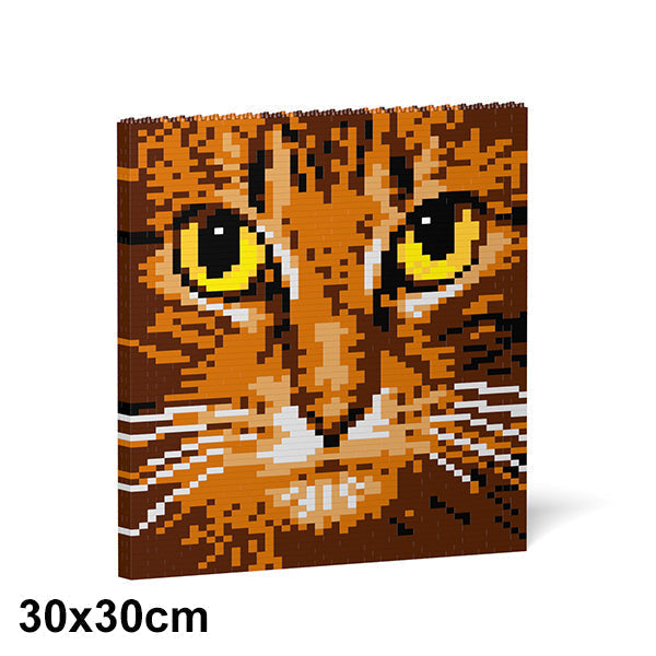 Cat Eyes Brick Painting 04S-M01