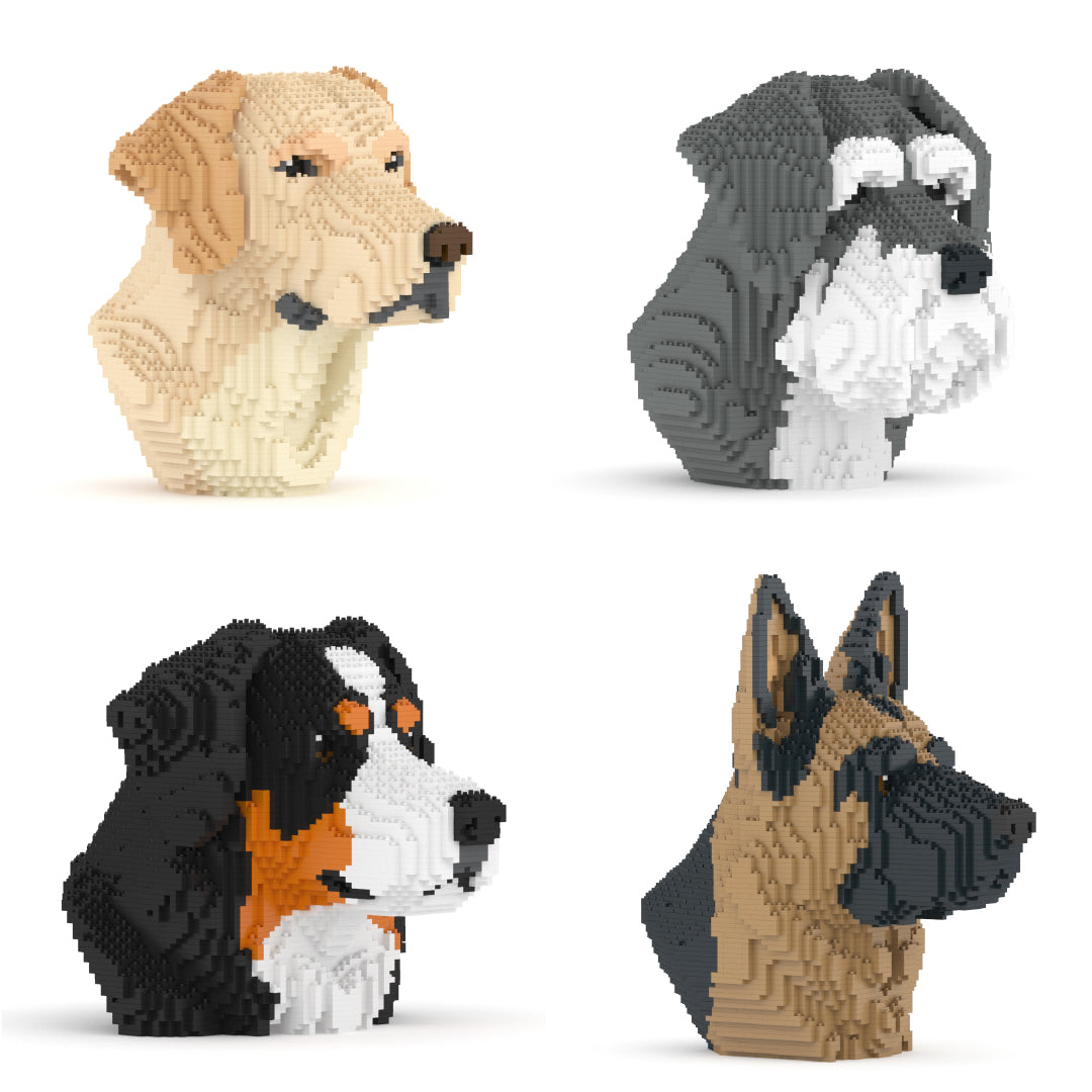 Bust Series