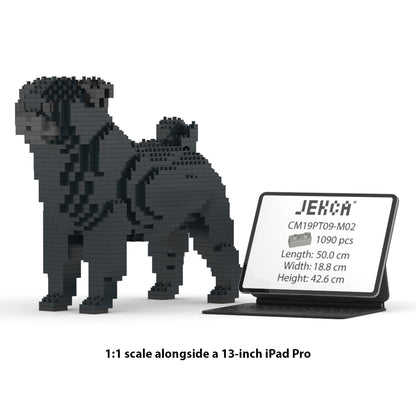 Pug 01-M02