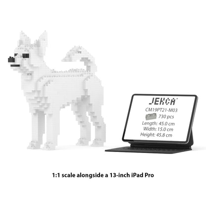 Chihuahua 01-M03