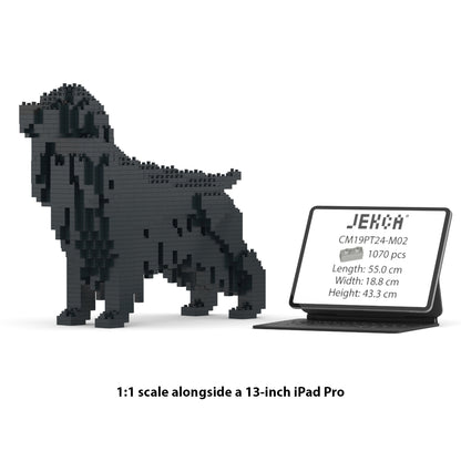 English Cocker Spaniel 01-M02