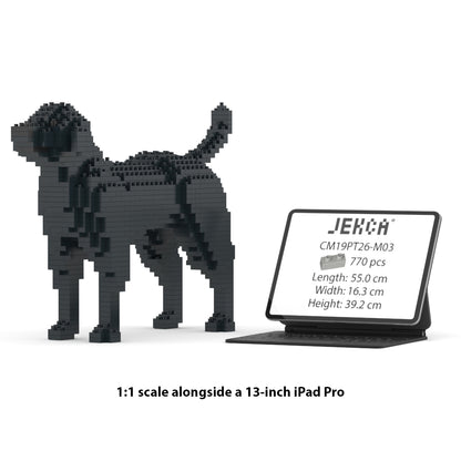 Labrador Retriever 01-M03