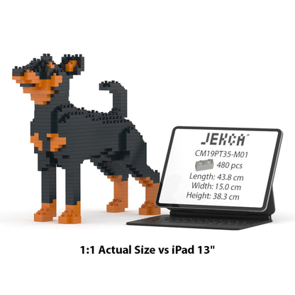 Miniature Pinscher 01-M01