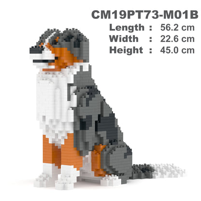 Australian Shepherd 01-M01