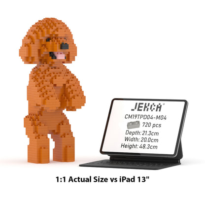 Toy Poodle 04-M04