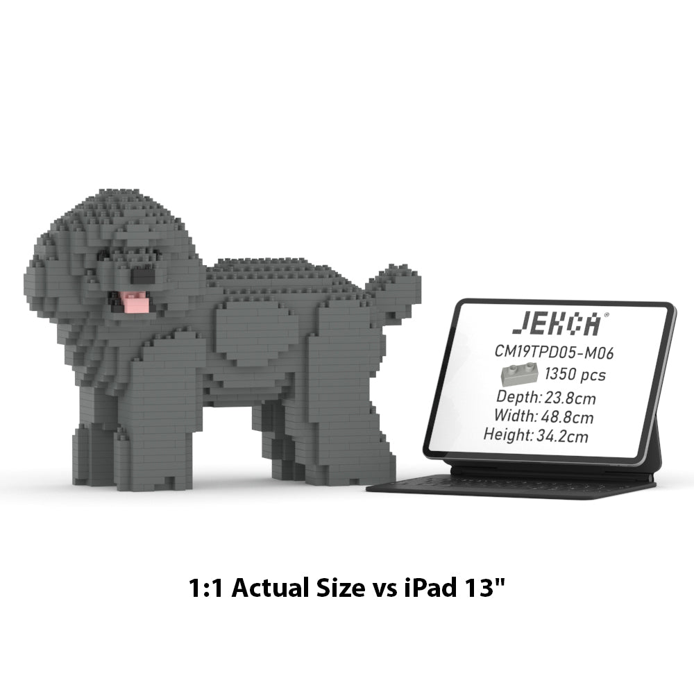Toy Poodle 05-M06