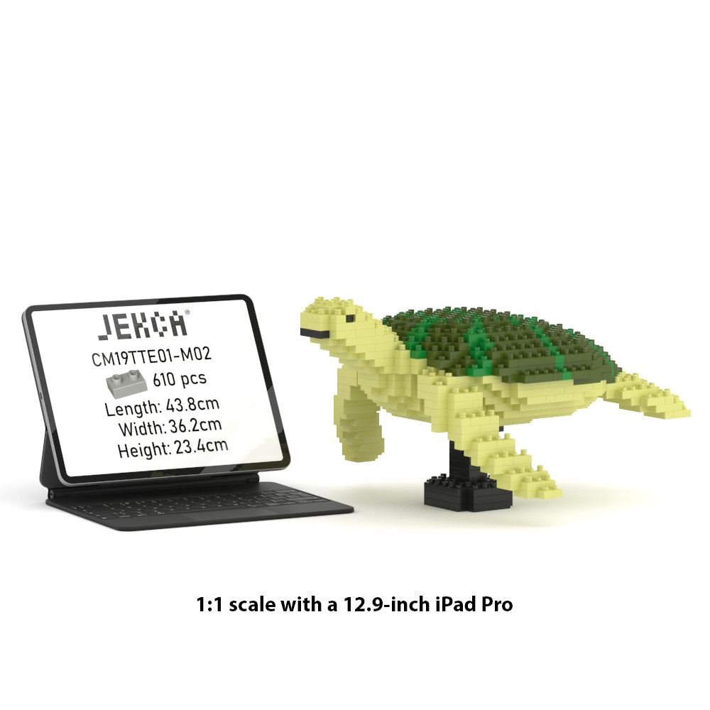 Sea Turtle 01-M02
