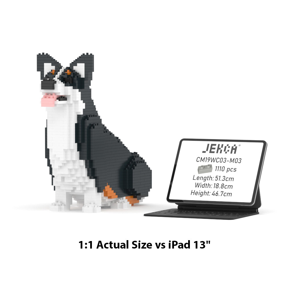 Welsh Corgi 03-M03