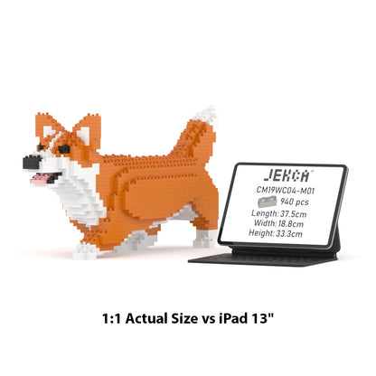 Welsh Corgi 04-M01