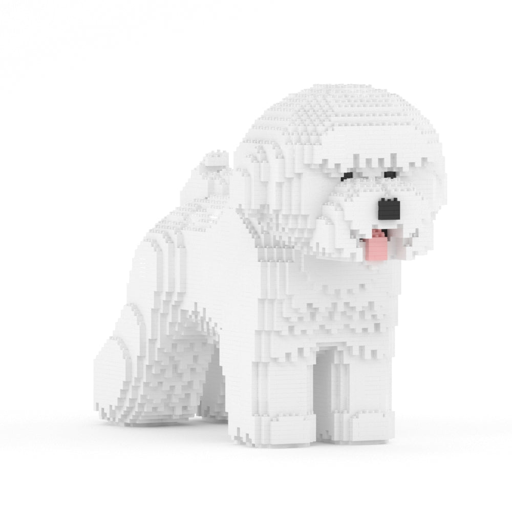 Bichon Frise 02