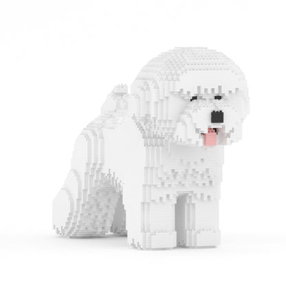 Bichon Frise 02