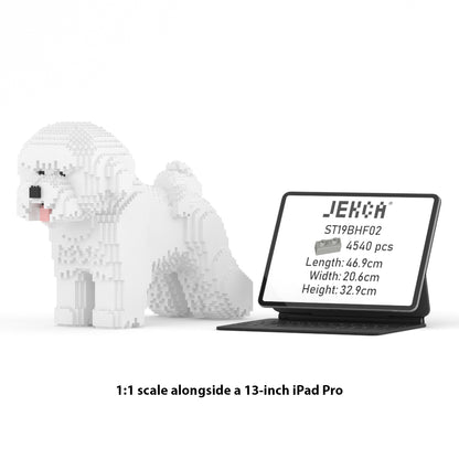 Bichon Frise 02