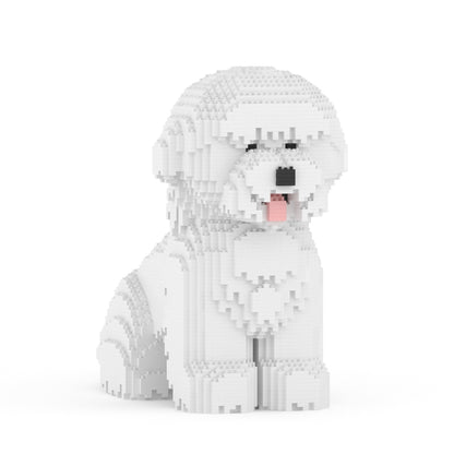 Bichon Frise 03