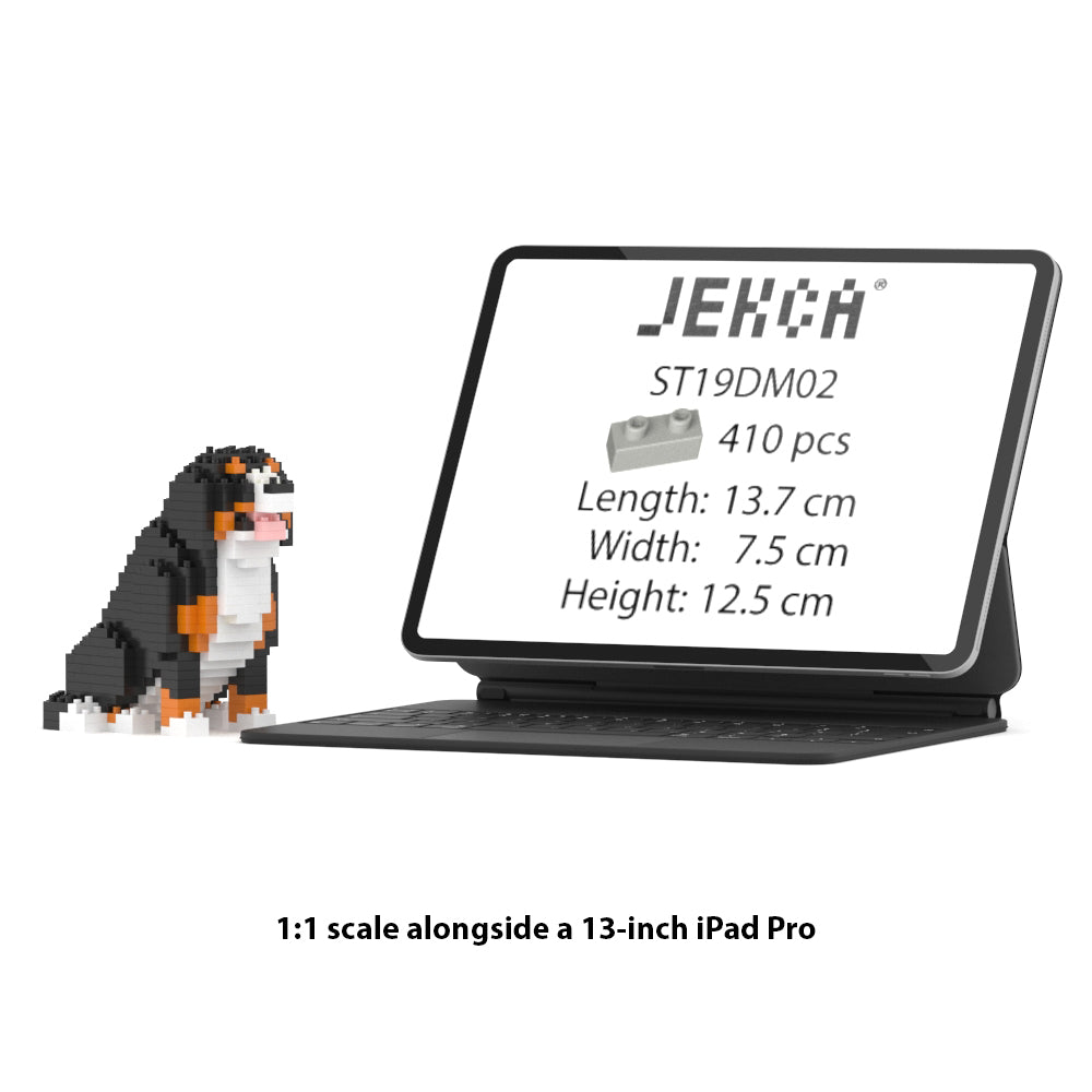 Bernese Mountain Dog Mini 01