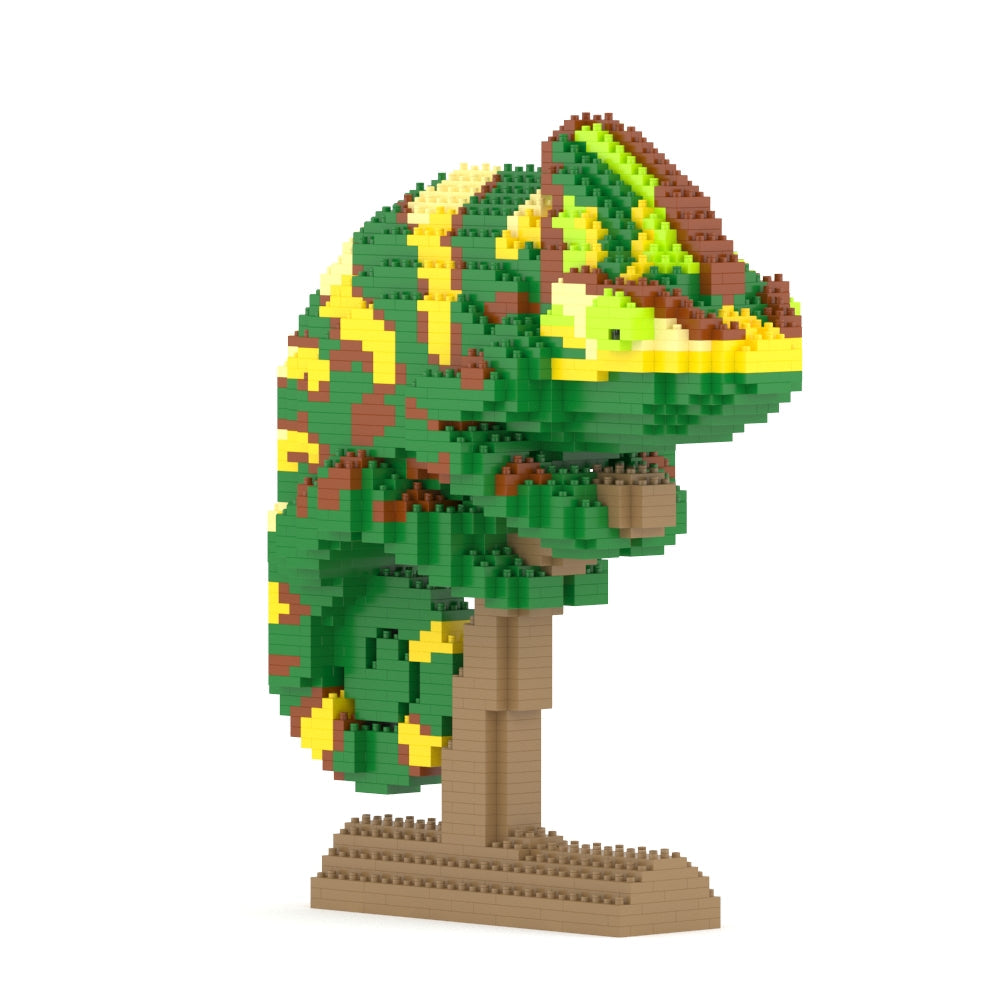 Veiled Chameleon 01