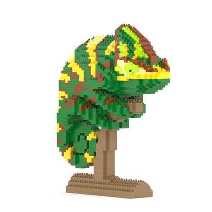 Veiled Chameleon 01