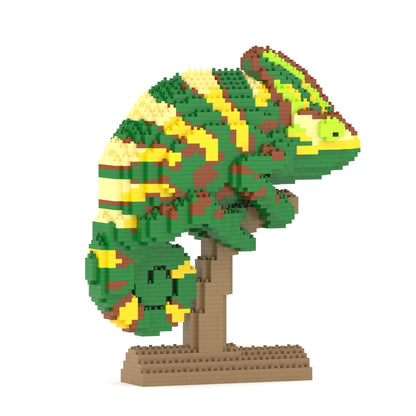Veiled Chameleon 01