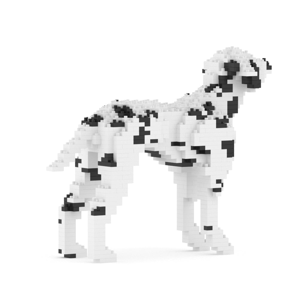 Dalmatian 01-M01