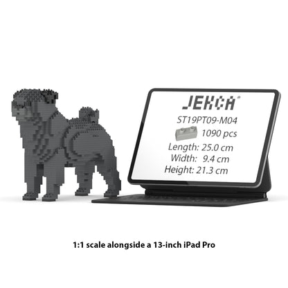 Pug 01-M04