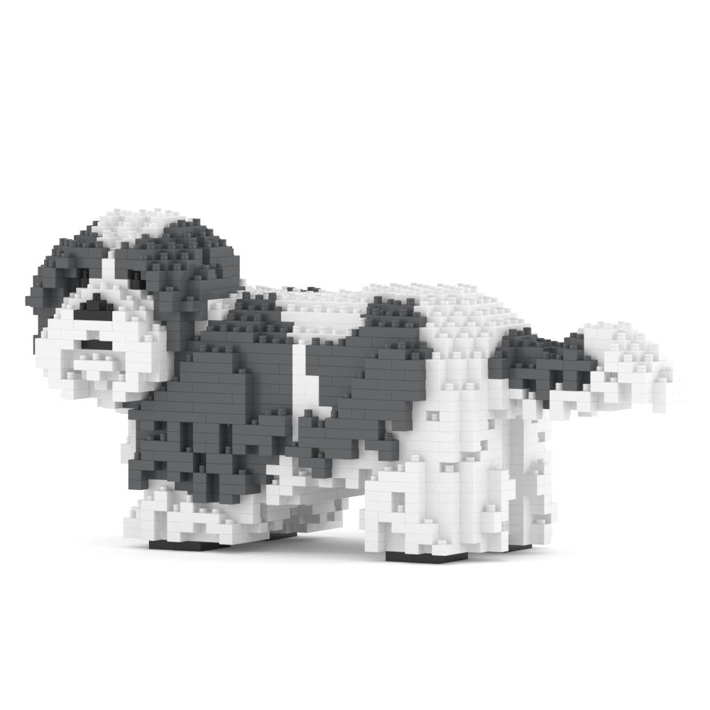 Shih Tzu 01-M05