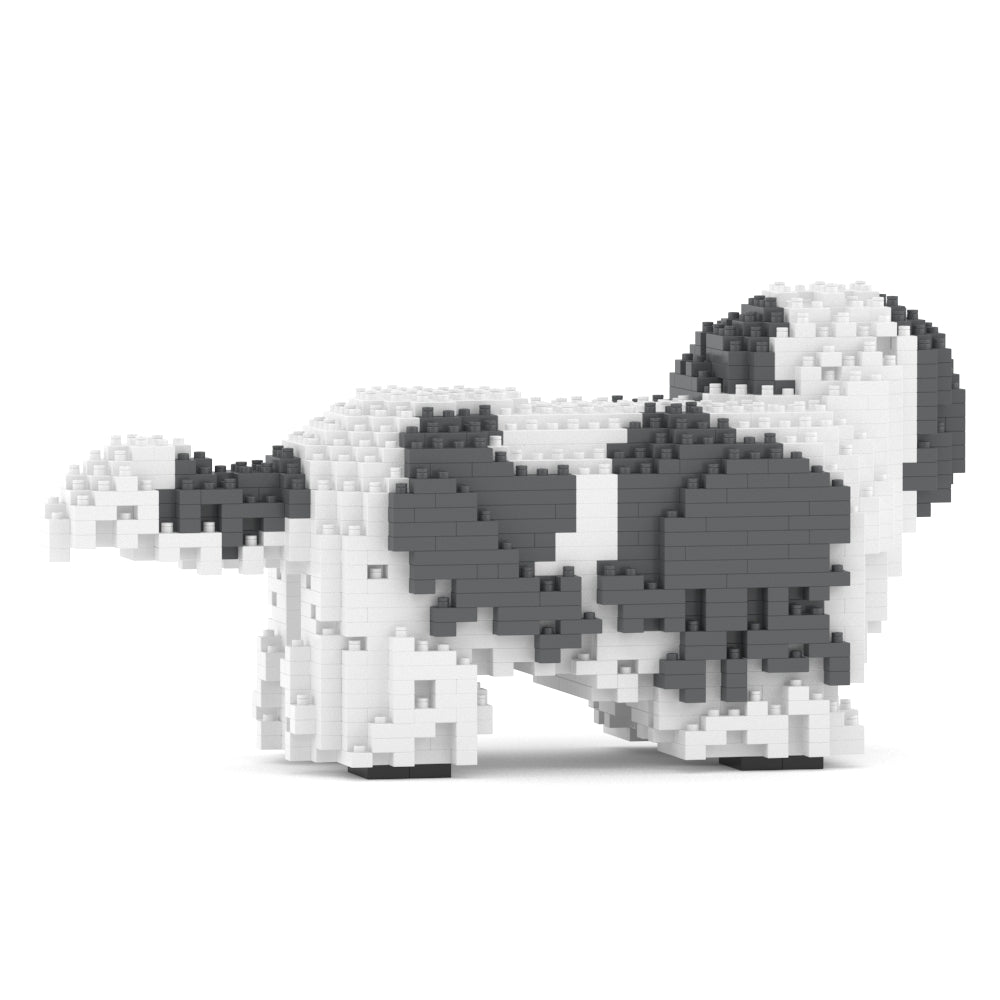 Shih Tzu 01-M05