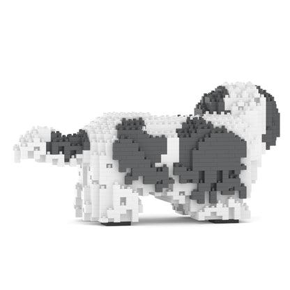 Shih Tzu 01-M05