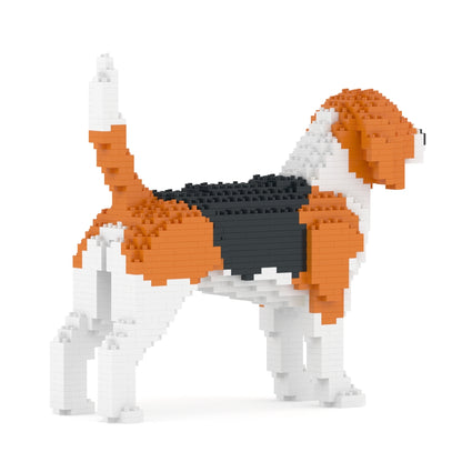 Beagle 01