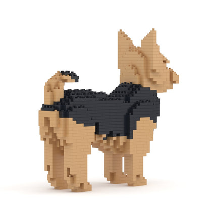 Yorkshire Terrier 01