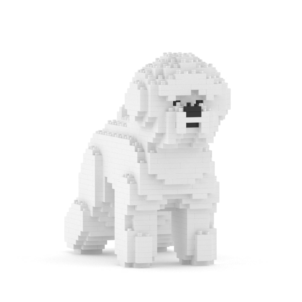 Bichon Frise 01