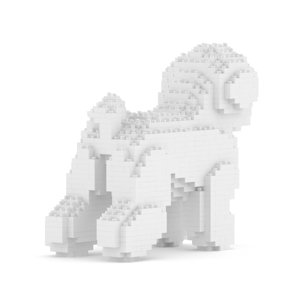 Bichon Frise 01