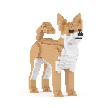 Chihuahua 01-M01