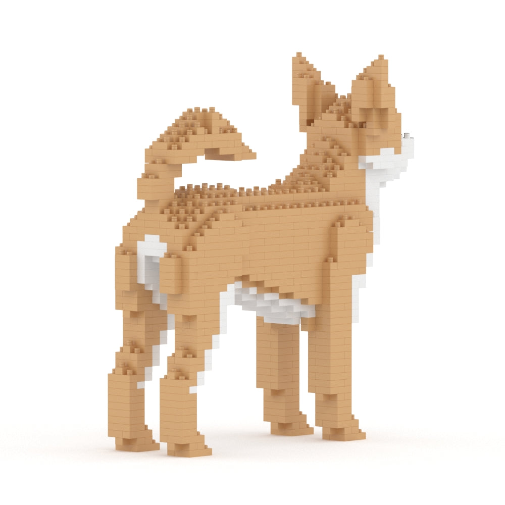 Chihuahua 01-M01